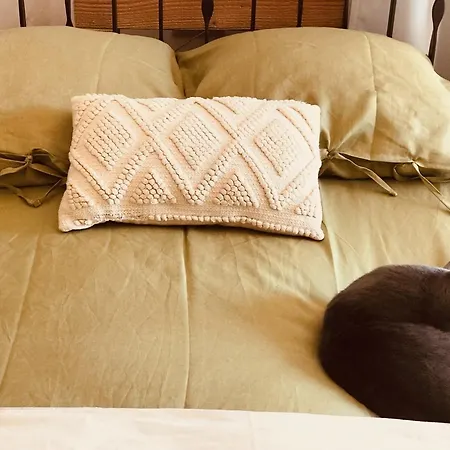Casa Migdia 4*