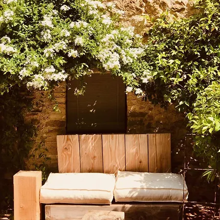 Allotjament i esmorzar Casa Migdia 4*