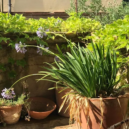 Bed and breakfast Casa Migdia Sant Jordi Desvalls